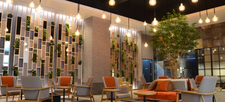 新札幌柔婕阁酒店(La'gent Stay Shin Sapporo)图片