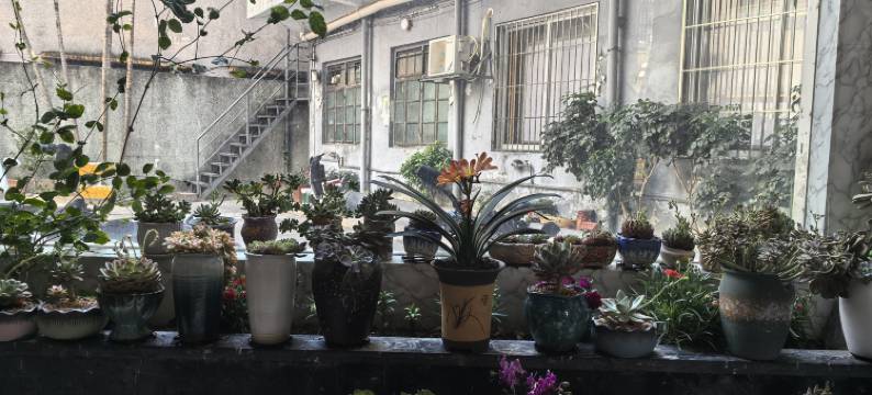 栖悦公寓(汕头澄海店)图片