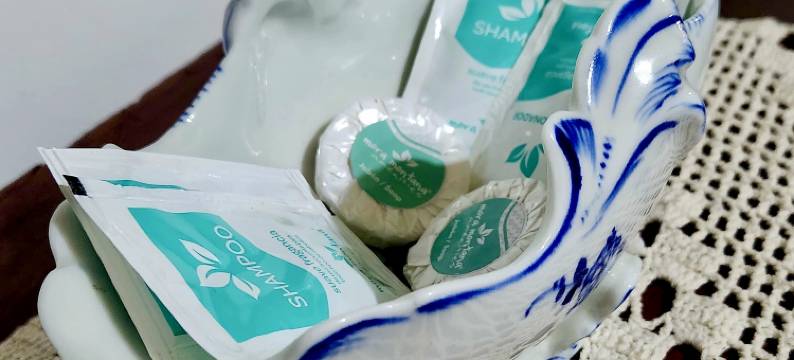 CENTRAL APARTMENT图片