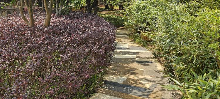 丘北天成太合酒店(椒莲广场店)图片