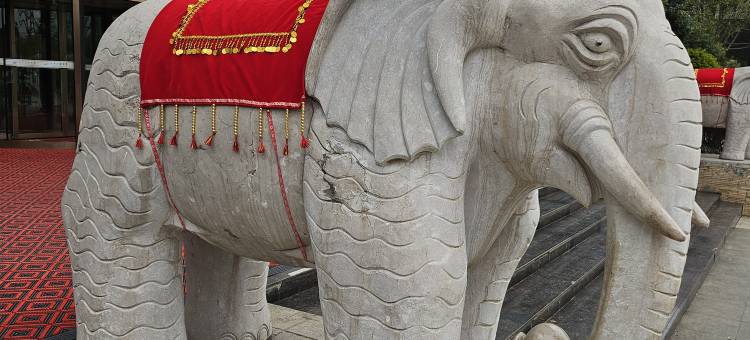 丘北天成太合酒店(椒莲广场店)图片