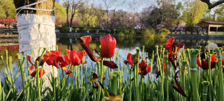 汉庭酒店(昆明双桥夜市风情街店)图片