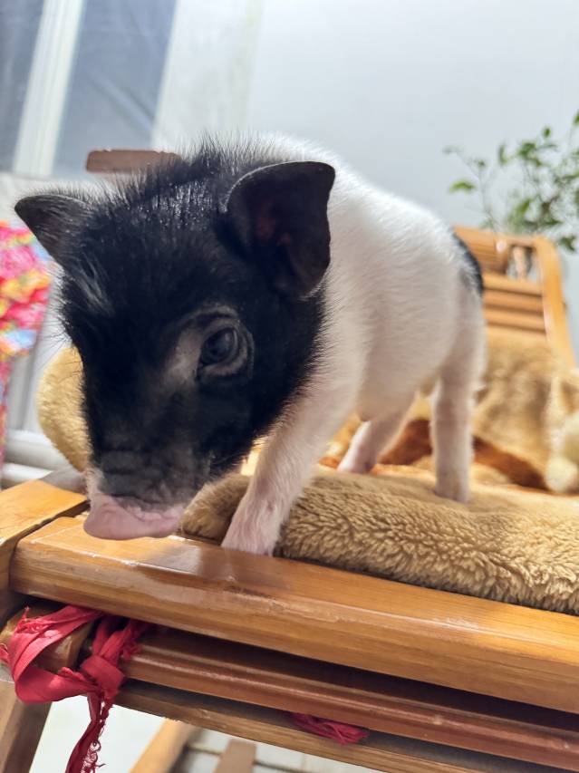 丽洁客栈(雾凇岛景区店)图片