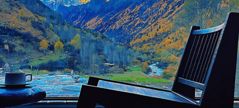 四姑娘山绿绒蒿MECONOPSIS金山庄园图片