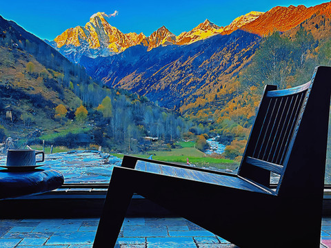 四姑娘山绿绒蒿MECONOPSIS金山庄园