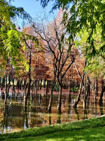 美豪酒店(海丰梅陇店)图片