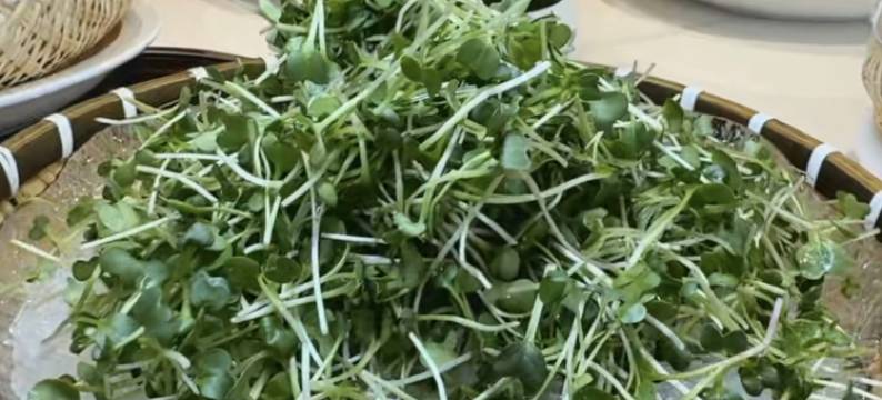 潍坊汉斯威士国际酒店(鲁台会展中心店)图片