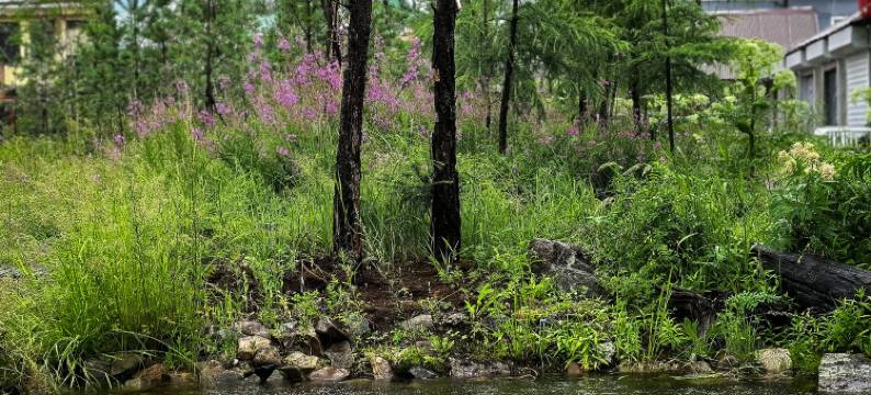满归岭上花开民宿图片