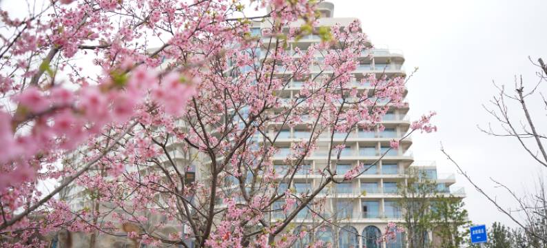 武汉城建开元森泊度假酒店图片