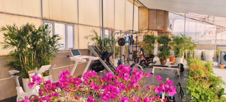 鑫舒安阁商务酒店(乌鲁木齐天山国际机场迎宾路店)图片