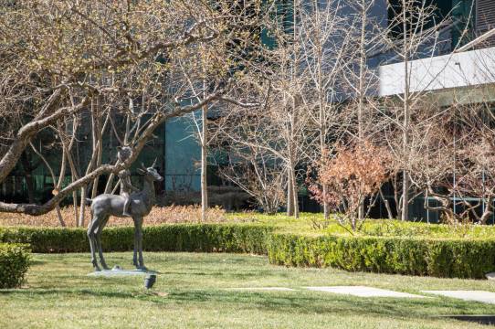 北京希尔顿逸林酒店图片