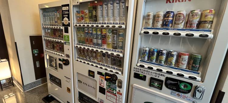 露樱酒店御殿场站南店(Hotel Route-Inn Gotenba Eki-Minami)图片