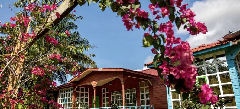 那本仙境童话庄园(中文管家服务+免费仙本那镇上/码头接送班车)(Together Palm Resort)图片