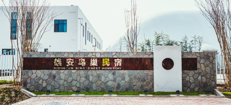 雄安鸟巢民宿(白洋淀景区店)图片