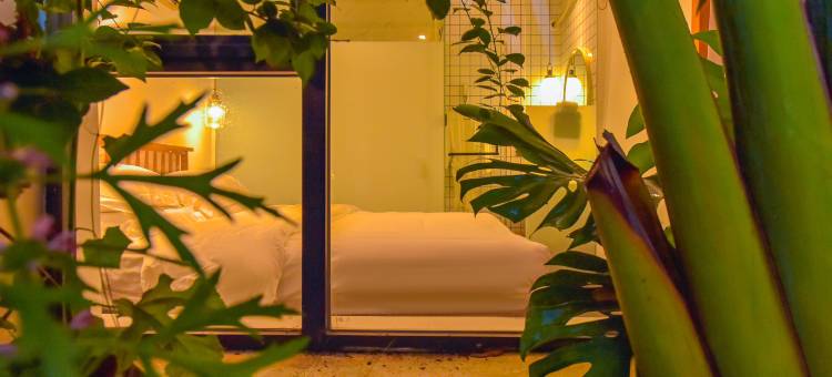 涠洲岛归宿民宿(贝壳沙滩店)图片