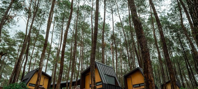 Bobocabin Cikole, Bandung图片