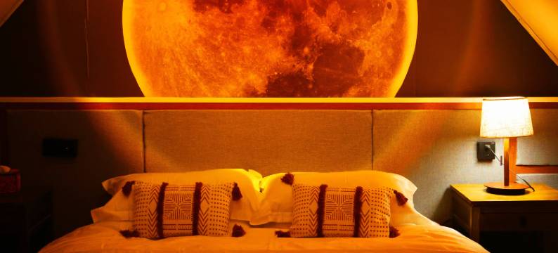 自在空间民宿(禾木桥店)图片