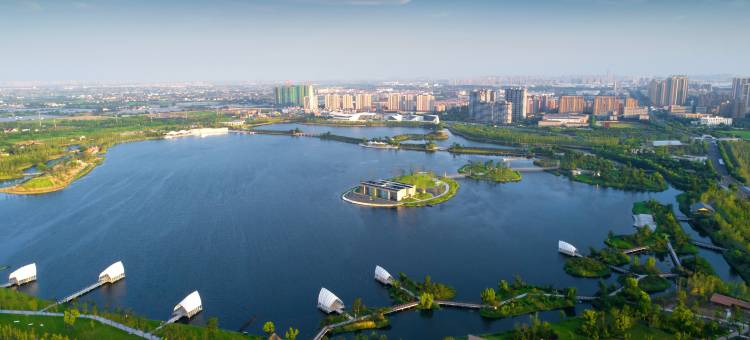 嘉兴飞鸟集丨万棵银杏·千亩湖域·宠物友好·音乐现场·度假民宿图片