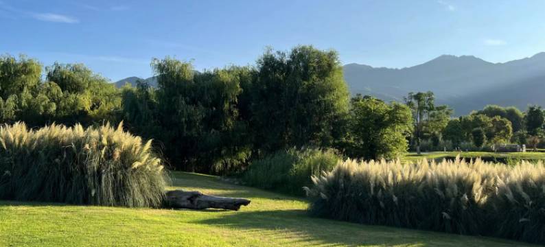 大理熙运来山景观海民宿图片