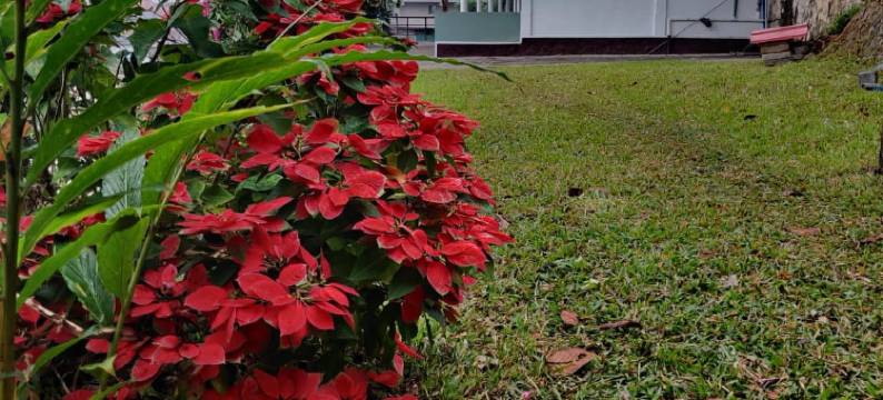 M3家园住宿(M3 Homes)图片