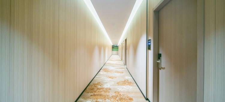 深圳新巢公寓(东门步行街湖贝地铁站店)图片