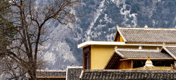 色龙村·隐栖堂世外桃源悬崖酒店图片