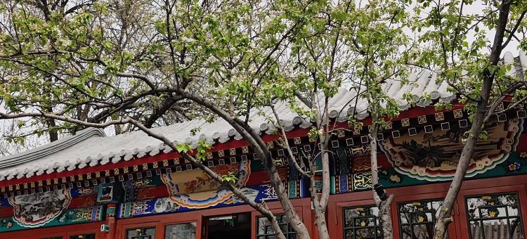 北京彝席之地 ·四合院酒店图片
