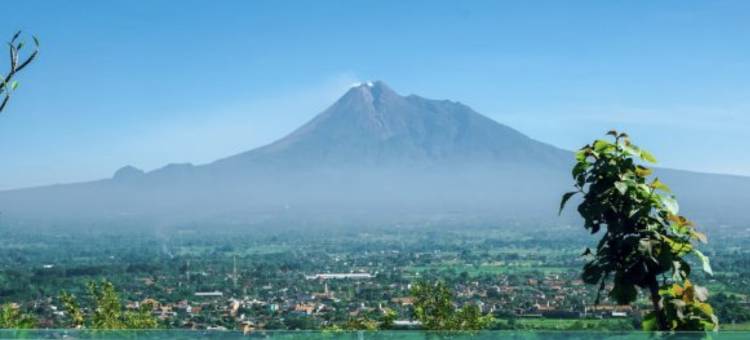 阿玛兰塔普兰巴南酒店(Amaranta Prambanan Yogyakarta)图片
