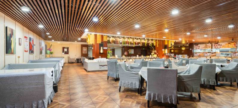 星野酒店(镇北堡西部影城看见贺兰演艺小镇店)图片