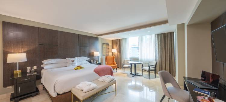 埃尔帕纳马酒店 - 大法朗达 - Radisson Individuals 旗下成员(Hotel El Panama by Faranda Grand, a Member of Radisson Individuals)图片