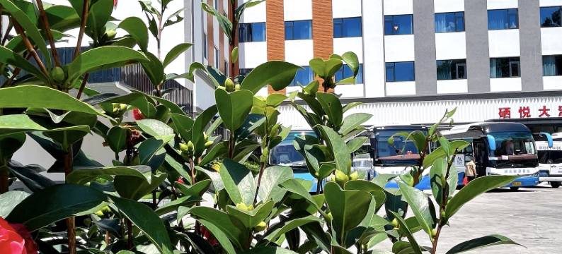 硒悦大酒店(地心谷景区店)图片