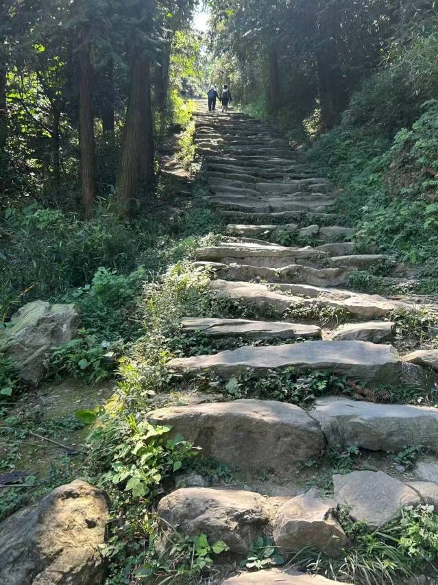 庐山开元名庭度假酒店图片