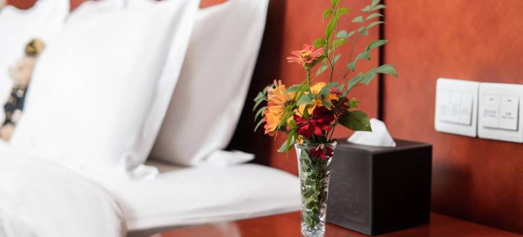 重庆大足华美达广场酒店图片