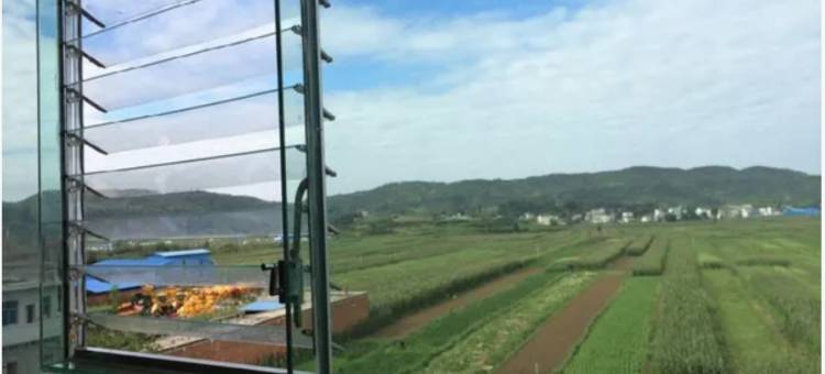 襄城阿里山宾馆图片