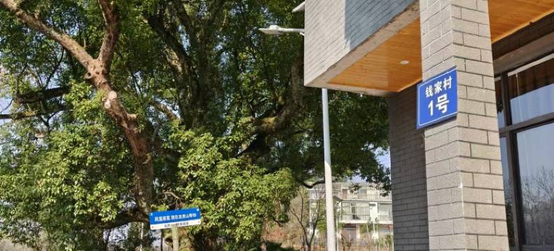 龙虎山隐舍民宿图片