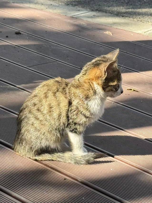 花筑·一稻澄玥民宿(上海青浦朱家角店)图片