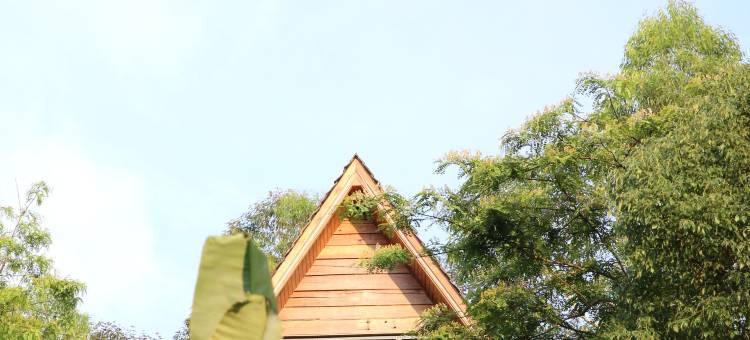 长泰山水畔树屋图片