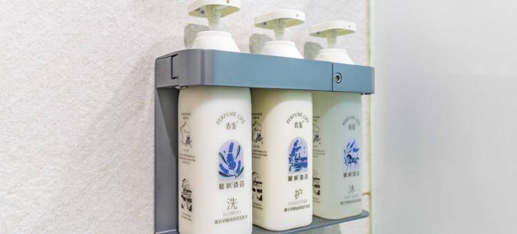 麗枫酒店(长沙福元西路马厂地铁站店)图片