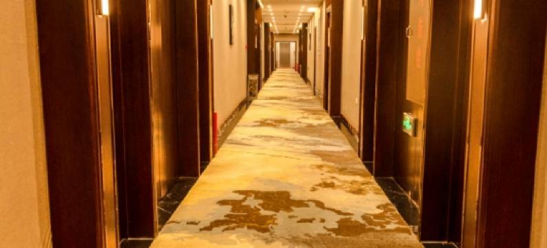 哈尔滨鑫丰商务宾馆(双城区政府店)图片