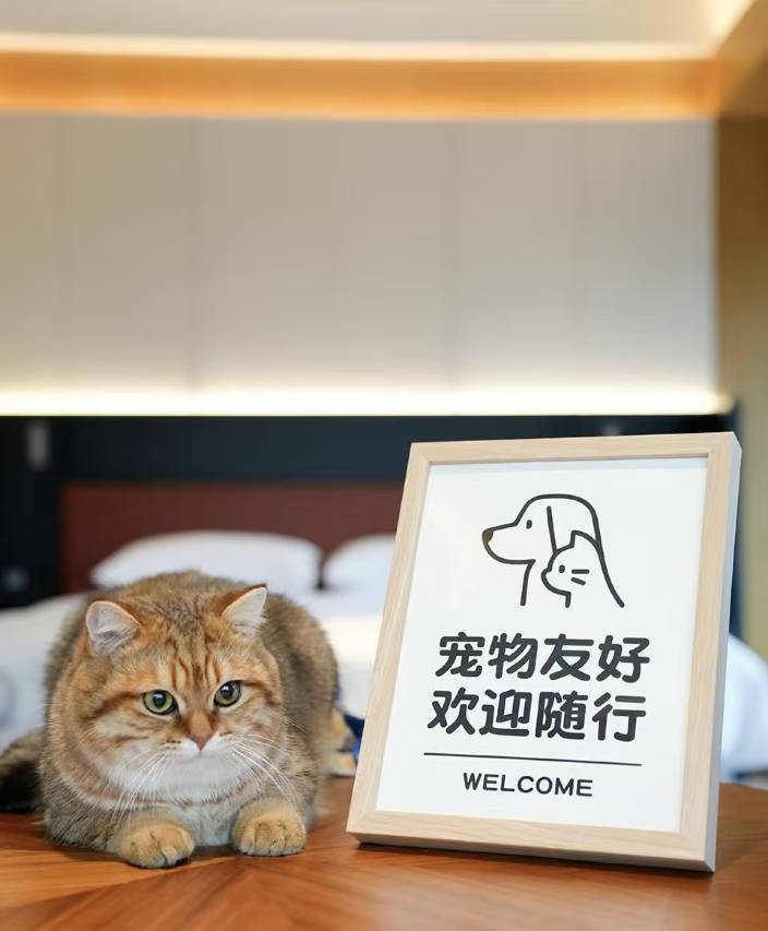 松鼠智慧酒店(通州湾店)图片
