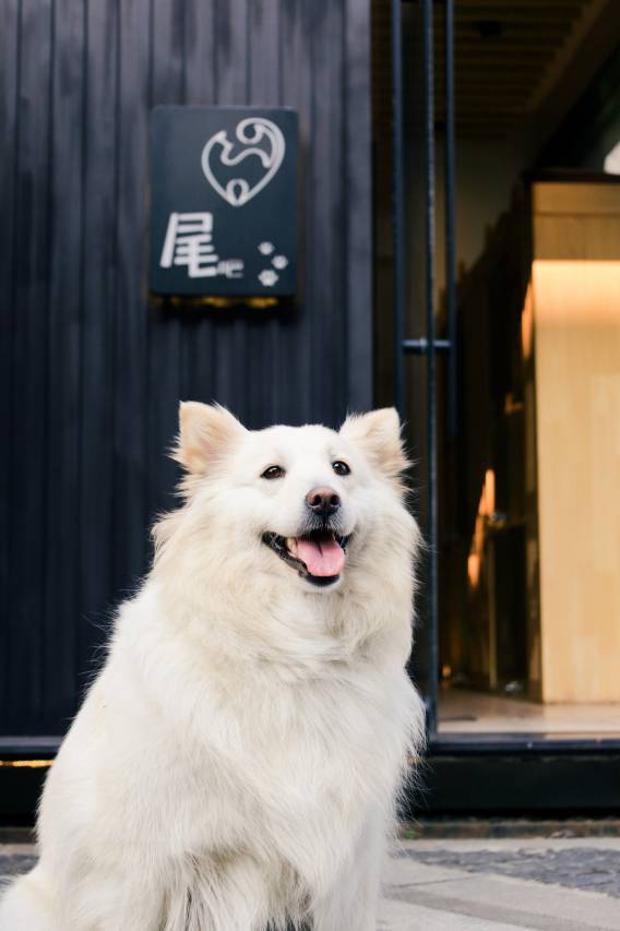 和颐酒店·体验店(扬州琼花大厦古运河东关街店)图片