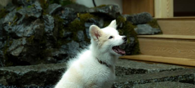 大理一览依山民宿(古城银苍路店)图片