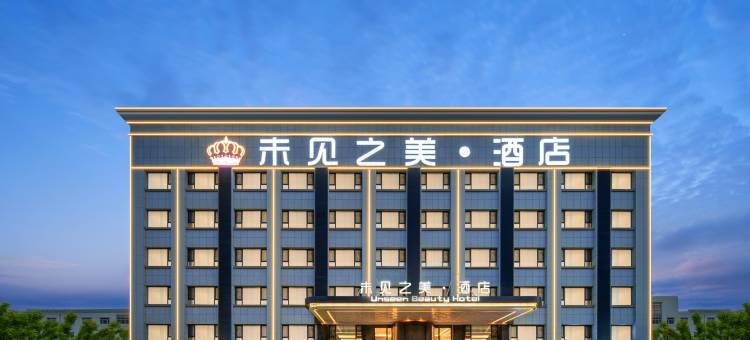 中卫未见之美酒店(鼓楼东街店)图片