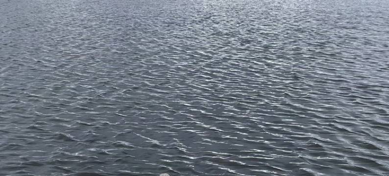 赛里木湖云海湖畔公寓酒店图片