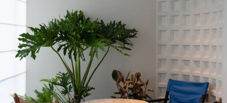 广州上下九步行街华林寺地铁站CYBO君亭尚品酒店图片