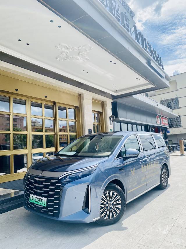 维也纳国际酒店(广州白云机场T1航站楼店)图片