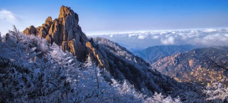梵涧·栖心|朝暮观·溪涧时序设计师民宿(青岛崂山风景区店)图片