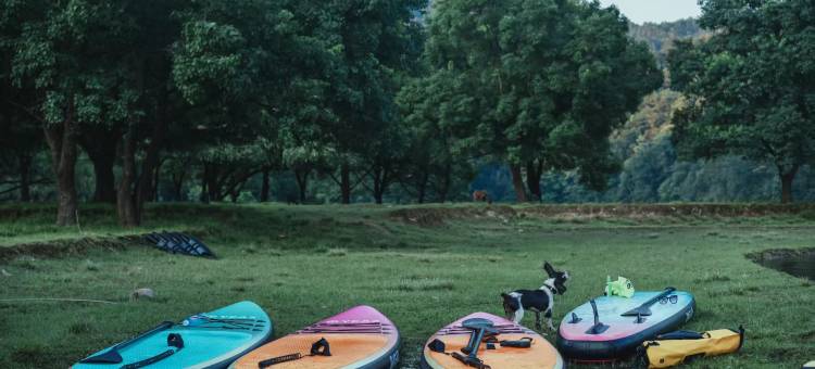 靖安水岸边图片