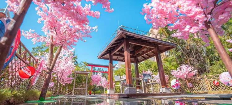 珠海海泉湾海洋温泉酒店图片