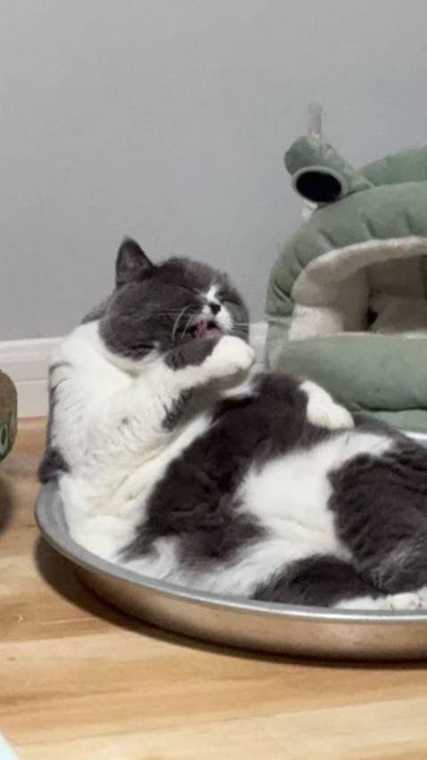 途客轻居酒店(绵阳西南科技大学店)图片